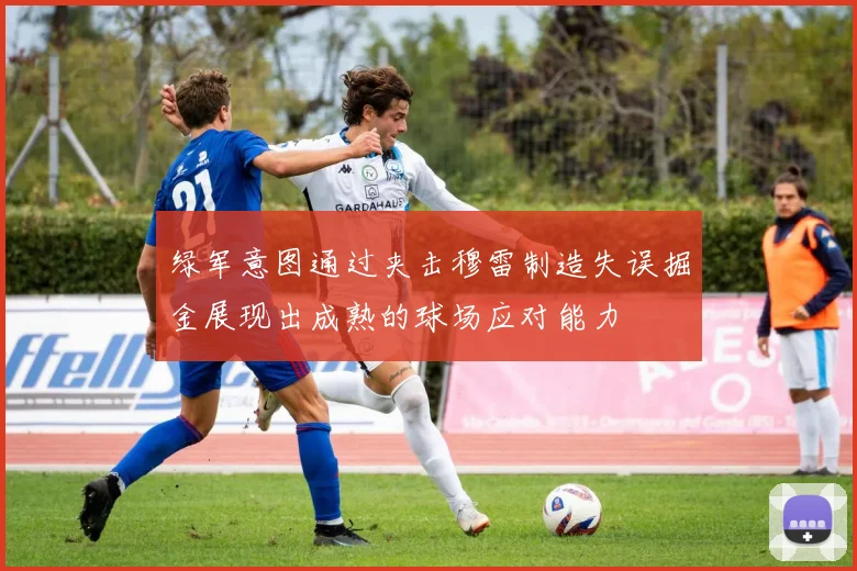绿军意图通过夹击穆雷制造失误掘金展现出成熟的球场应对能力