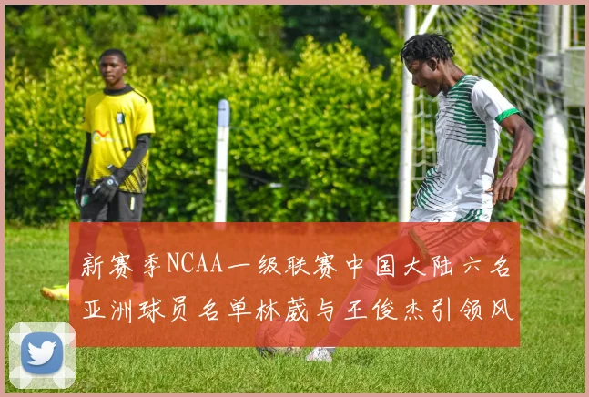 新赛季NCAA一级联赛中国大陆六名亚洲球员名单林葳与王俊杰引领风骚