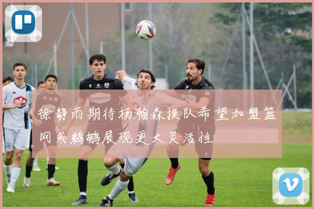 徐静雨期待杨瀚森换队希望加盟篮网或鹈鹕展现更大灵活性