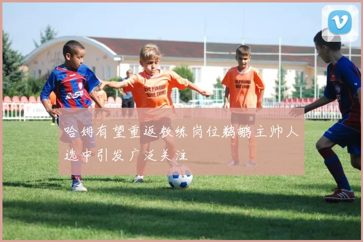 哈姆有望重返教练岗位鹈鹕主帅人选中引发广泛关注